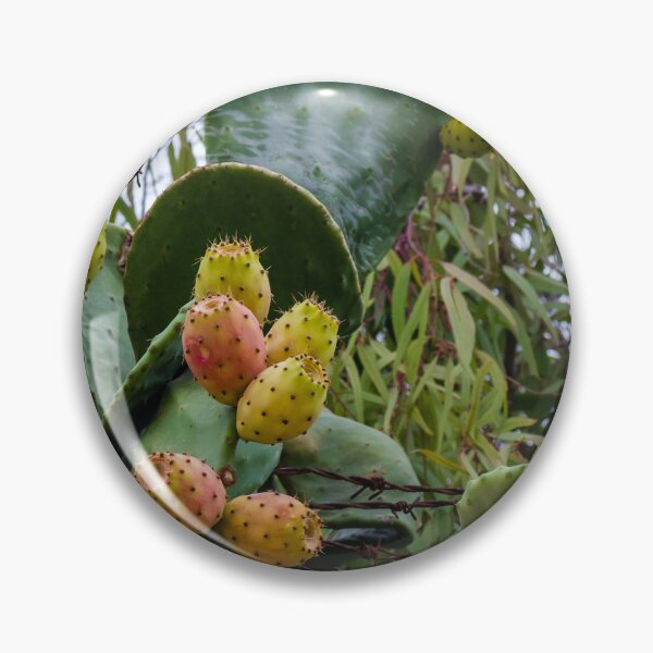 Item preview, Prickly Pear Cactus with Ripe Fruits Surrounded by Greenery designed and sold by Nmallia.
