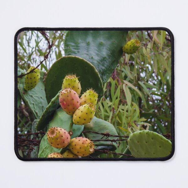 Item preview, Prickly Pear Cactus with Ripe Fruits Surrounded by Greenery designed and sold by Nmallia.