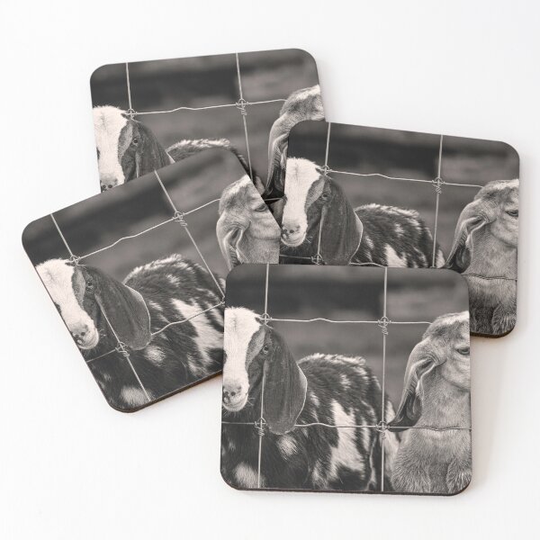 Item preview, 2 Goats Behind A Fence BW designed and sold by Jim Love.