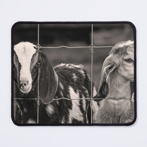 Item preview, 2 Goats Behind A Fence BW designed and sold by Jim Love.