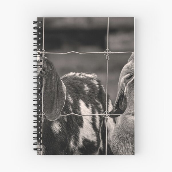 Item preview, 2 Goats Behind A Fence BW designed and sold by Jim Love.