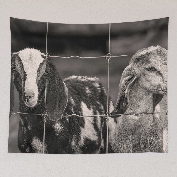 Item preview, 2 Goats Behind A Fence BW designed and sold by Jim Love.