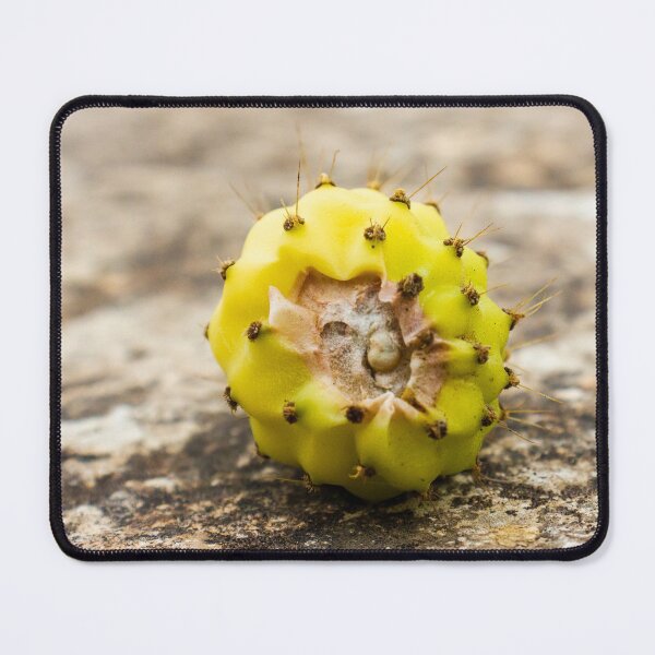 Item preview, Close-Up of a Yellow Cactus Fruit on a Rocky Surface designed and sold by Nmallia.