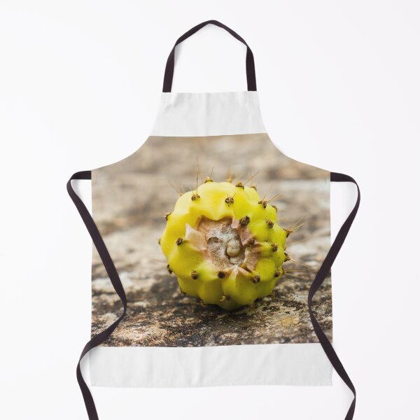 Item preview, Close-Up of a Yellow Cactus Fruit on a Rocky Surface designed and sold by Nmallia.