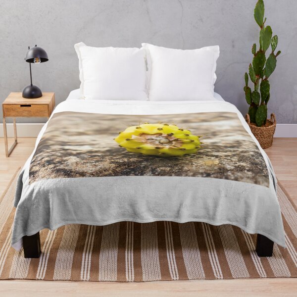 Item preview, Close-Up of a Yellow Cactus Fruit on a Rocky Surface designed and sold by Nmallia.