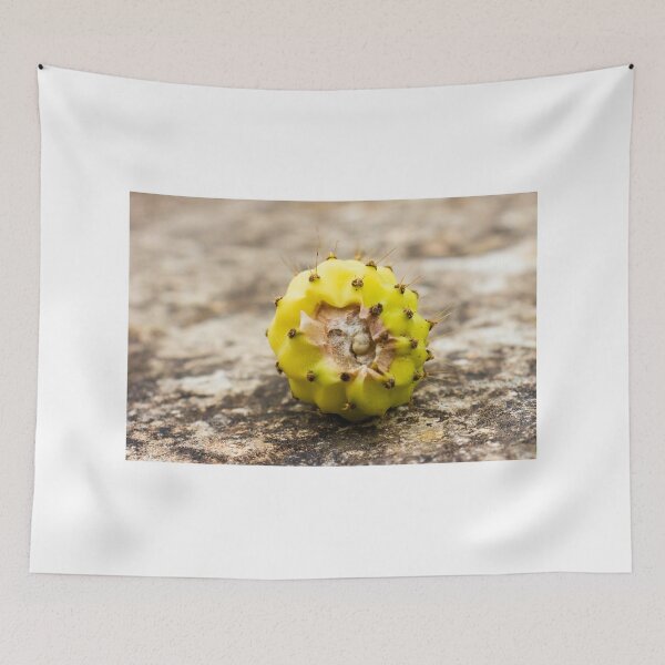 Item preview, Close-Up of a Yellow Cactus Fruit on a Rocky Surface designed and sold by Nmallia.
