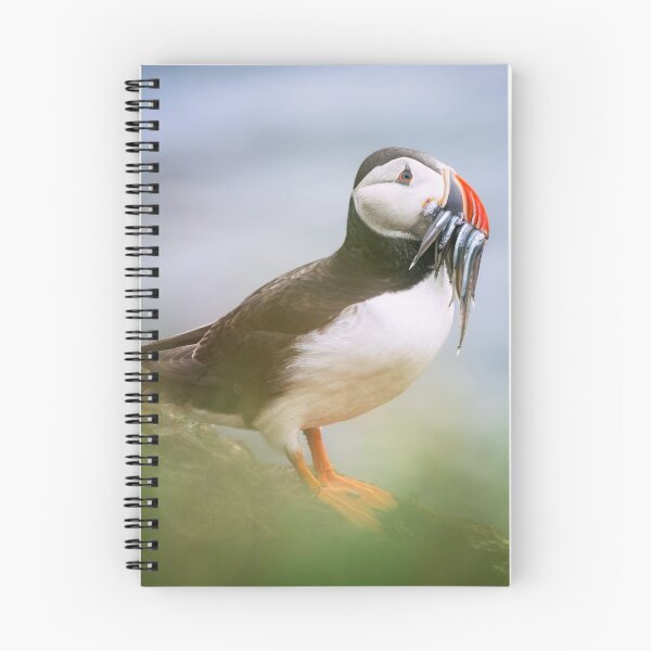 Item preview, Puffin with a Beak Full of Fish  designed and sold by PhotoArt by Joan Carroll.