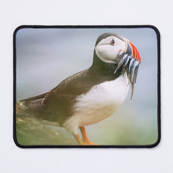 Item preview, Puffin with a Beak Full of Fish designed and sold by PhotoArt by Joan Carroll.