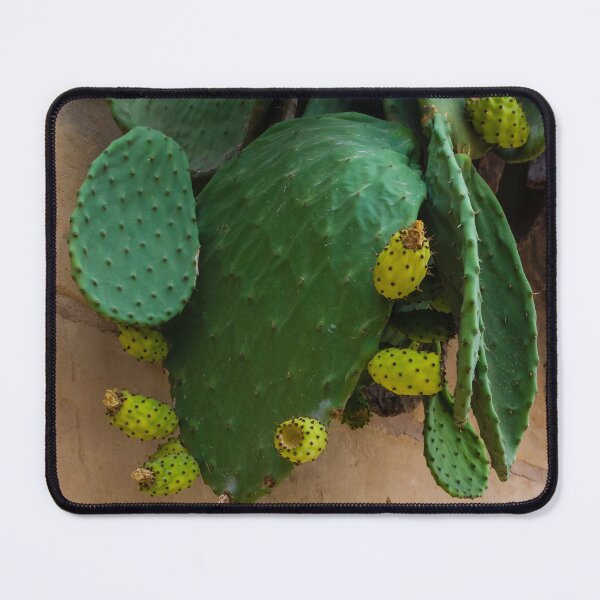 Item preview, Close-Up of Green Prickly Pear Cactus with Yellow Fruits on a Wall designed and sold by Nmallia.