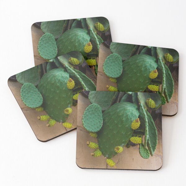 Item preview, Close-Up of Green Prickly Pear Cactus with Yellow Fruits on a Wall designed and sold by Nmallia.