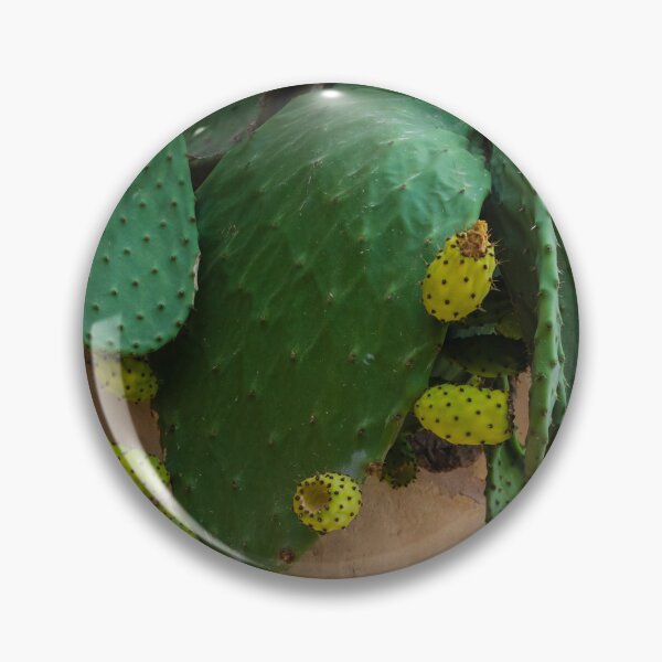 Item preview, Close-Up of Green Prickly Pear Cactus with Yellow Fruits on a Wall designed and sold by Nmallia.
