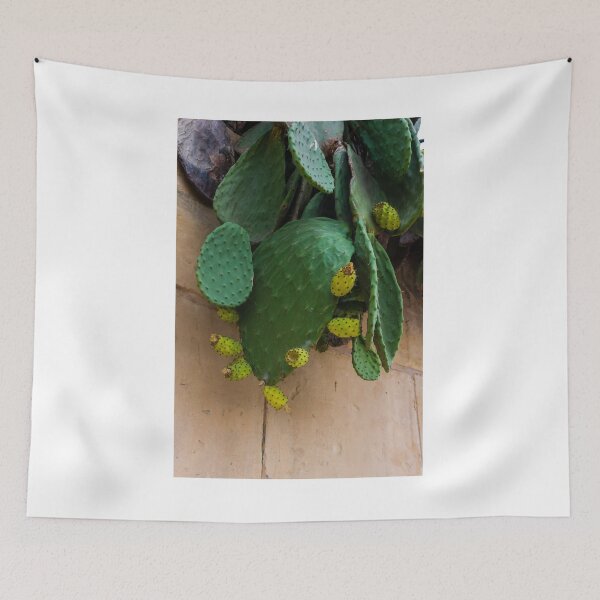 Item preview, Close-Up of Green Prickly Pear Cactus with Yellow Fruits on a Wall designed and sold by Nmallia.