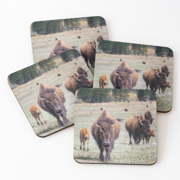 Item preview, Bison Herd in Custer State Park SD designed and sold by PhotoArt by Joan Carroll.