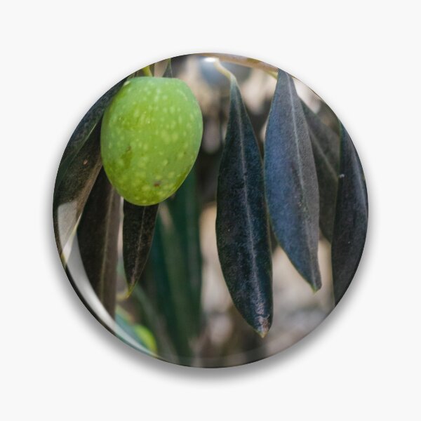 Item preview, Close-Up of Green Olive on a Tree Branch with Dark Leaves designed and sold by Nmallia.