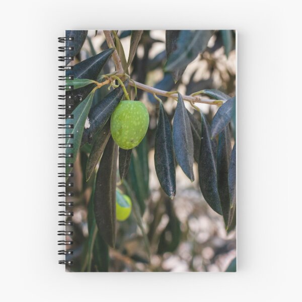 Item preview, Close-Up of Green Olive on a Tree Branch with Dark Leaves designed and sold by Nmallia.