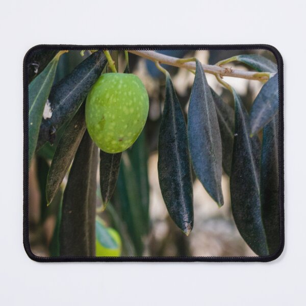 Item preview, Close-Up of Green Olive on a Tree Branch with Dark Leaves designed and sold by Nmallia.