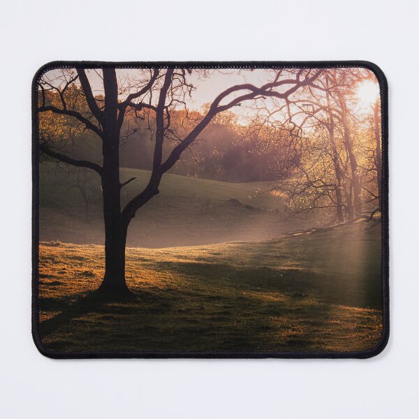 Item preview, Morning Sunbeams designed and sold by Jim Love.