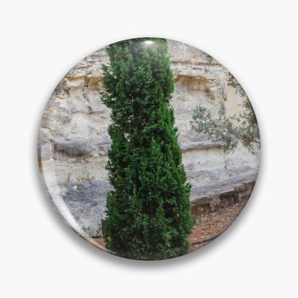 Item preview, Tall Evergreen Tree in a Rocky Natural Walkway Garden designed and sold by Nmallia.