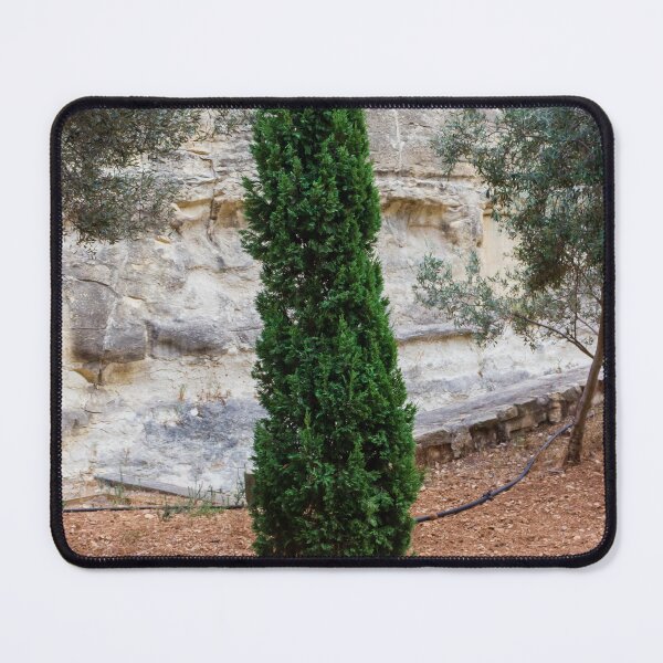 Item preview, Tall Evergreen Tree in a Rocky Natural Walkway Garden designed and sold by Nmallia.
