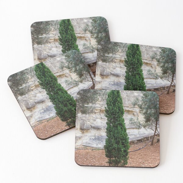 Item preview, Tall Evergreen Tree in a Rocky Natural Walkway Garden designed and sold by Nmallia.
