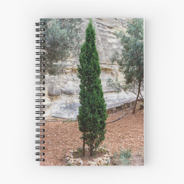 Item preview, Tall Evergreen Tree in a Rocky Natural Walkway Garden designed and sold by Nmallia.