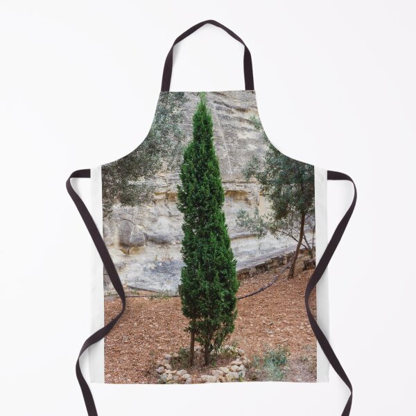 Item preview, Tall Evergreen Tree in a Rocky Natural Walkway Garden designed and sold by Nmallia.