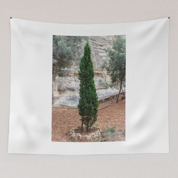 Item preview, Tall Evergreen Tree in a Rocky Natural Walkway Garden designed and sold by Nmallia.