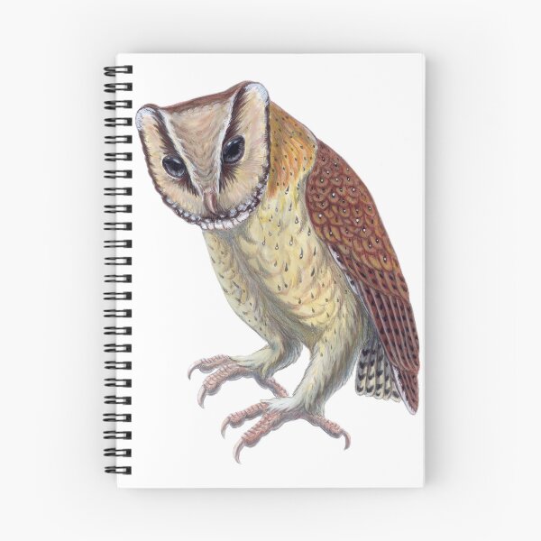 Item preview, Oriental Bay Owl designed and sold by TwinSabersArt.