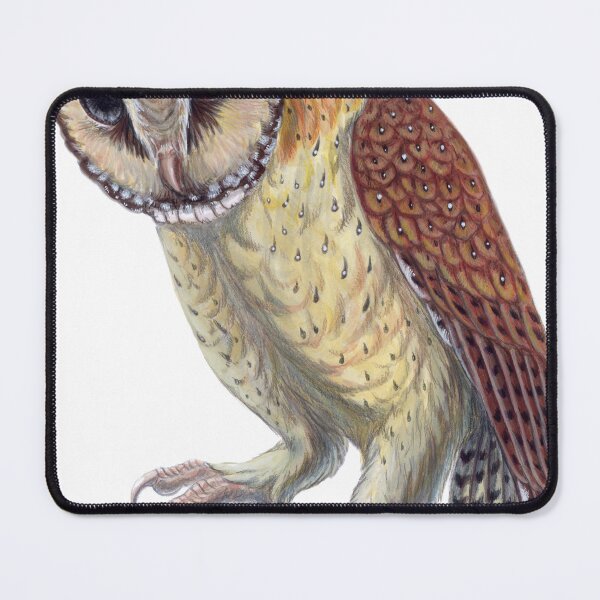 Item preview, Oriental Bay Owl designed and sold by TwinSabersArt.