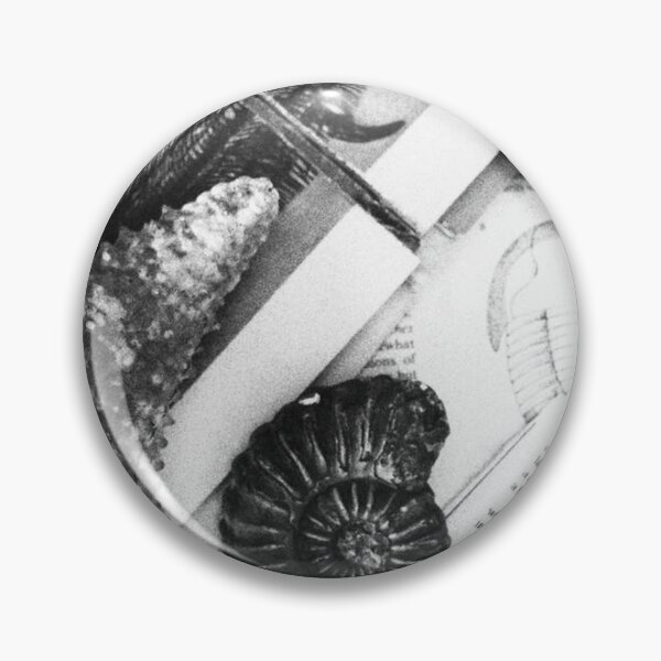 Artikelvorschau, Vintage-Monochrom-Fotografie von paläontologischen Fossilien und Muscheln (flach liegend) entworfen und verkauft von CarreeTrista.