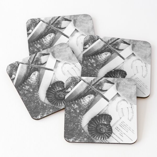 Artikelvorschau, Vintage-Monochrom-Fotografie von paläontologischen Fossilien und Muscheln (flach liegend) entworfen und verkauft von CarreeTrista.