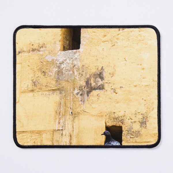 Item preview, Pigeon Resting in a Small Window Opening on a Rustic Yellow Wall designed and sold by Nmallia.