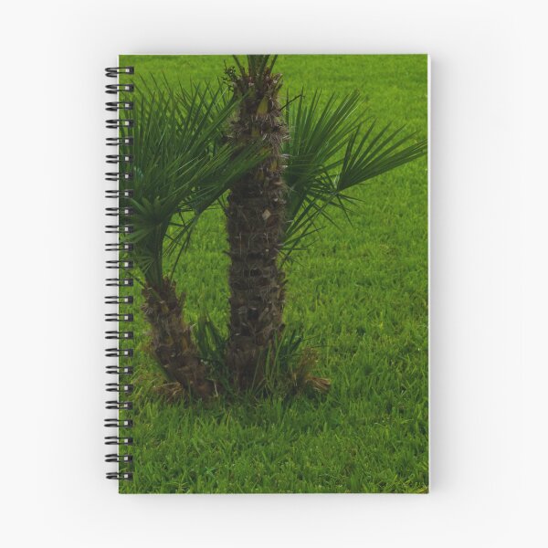 Item preview, Small Palmetto Tree on a Green Stretch of Fresh Grass designed and sold by Nmallia.