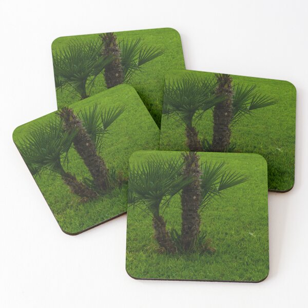 Item preview, Small Palmetto Tree on a Green Stretch of Fresh Grass designed and sold by Nmallia.