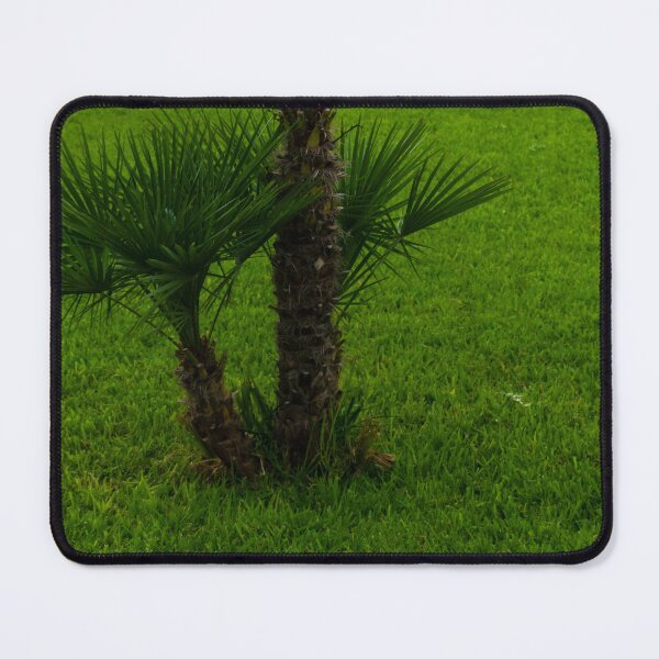 Item preview, Small Palmetto Tree on a Green Stretch of Fresh Grass designed and sold by Nmallia.