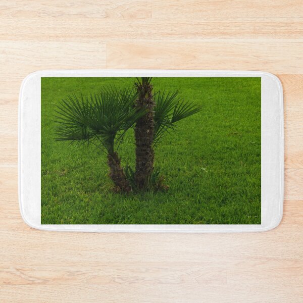 Item preview, Small Palmetto Tree on a Green Stretch of Fresh Grass designed and sold by Nmallia.