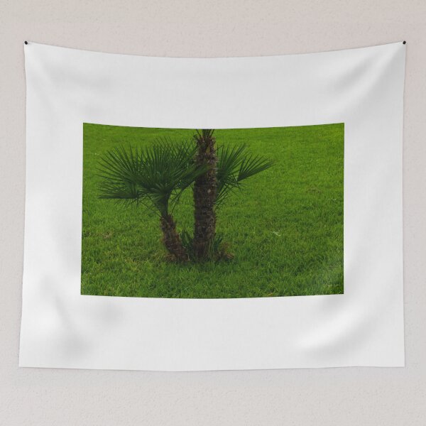 Item preview, Small Palmetto Tree on a Green Stretch of Fresh Grass designed and sold by Nmallia.