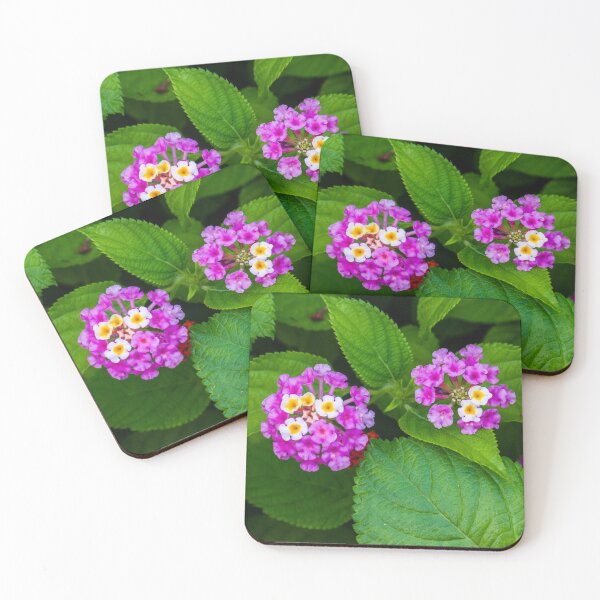 Item preview, Vibrant Pink and Yellow Flowers Among Green Leaves in a Natural Setting designed and sold by Nmallia.