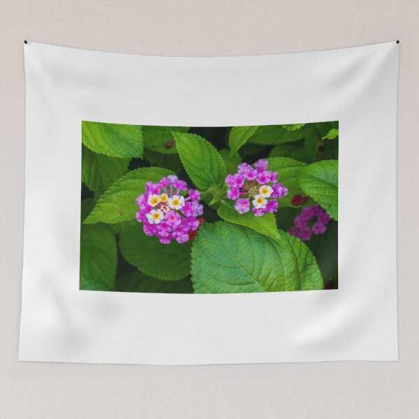 Item preview, Vibrant Pink and Yellow Flowers Among Green Leaves in a Natural Setting designed and sold by Nmallia.