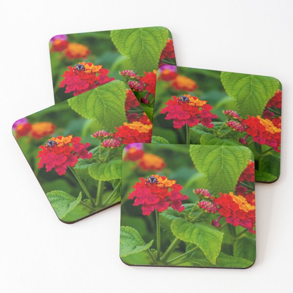 Item preview, Vibrant Orange and Red Flowers with a Beetle Perched on a Bloom designed and sold by Nmallia.