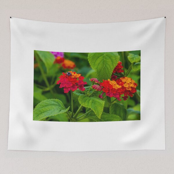 Item preview, Vibrant Orange and Red Flowers with a Beetle Perched on a Bloom designed and sold by Nmallia.
