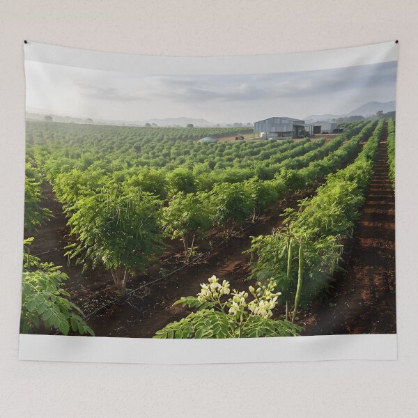 Item preview, Moringa Farming Business Wall Art | Commercial Agriculture Office Decor designed and sold by hutofdesigns.