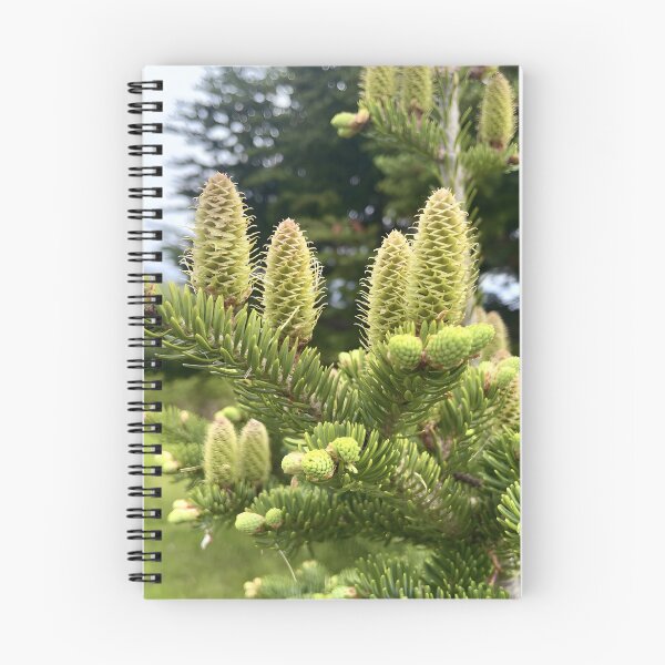Item preview, Fresh Green Pine Cones Nature Photography | Evergreen Tree Botanical Forest Wall Art designed and sold by RootedArts.