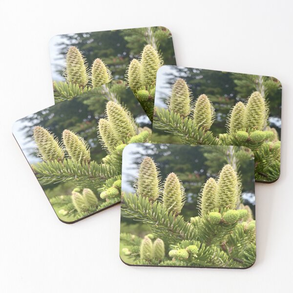 Item preview, Fresh Green Pine Cones Nature Photography | Evergreen Tree Botanical Forest Wall Art designed and sold by RootedArts.