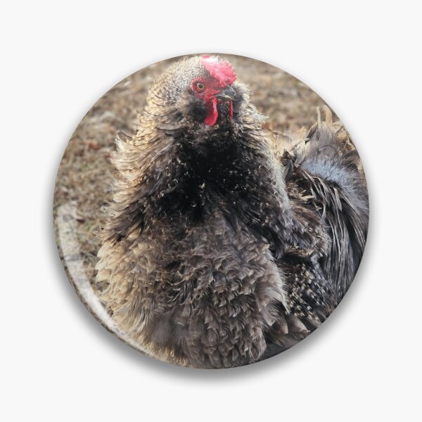 Item preview, Proud Rooster Strutting Outdoors designed and sold by Stacey's unpromised.