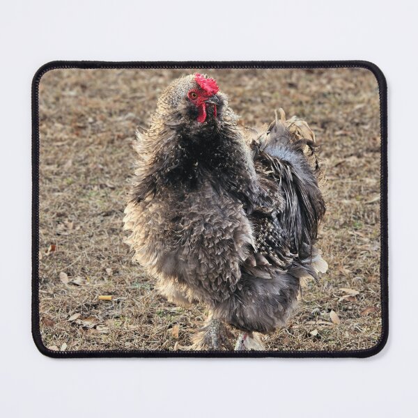 Item preview, Proud Rooster Strutting Outdoors designed and sold by Stacey's unpromised.