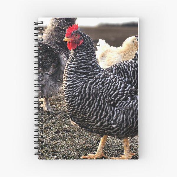 Item preview, Chickens in the Farmyard designed and sold by Stacey's unpromised.