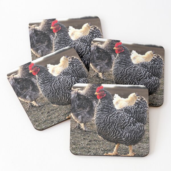 Item preview, Chickens in the Farmyard designed and sold by Stacey's unpromised.