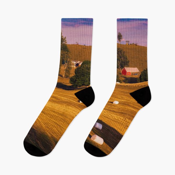 Item preview, Now Somebody Has To Haul Them All Away designed and sold by Jim Love.