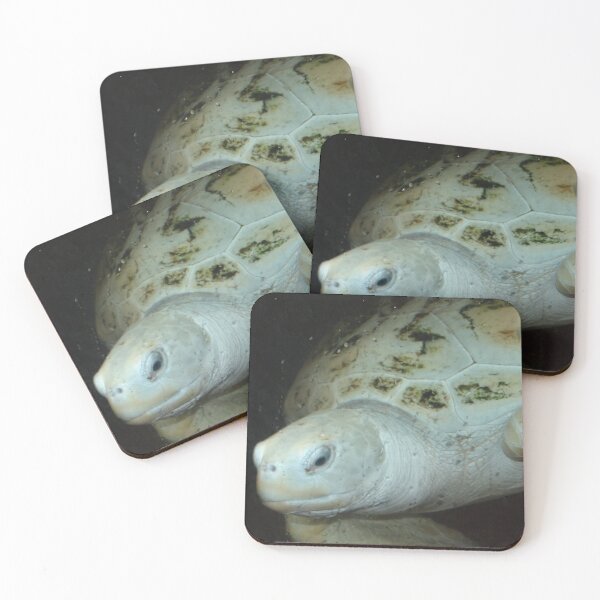 Item preview, Green Sea Turtle designed and sold by GardenGrove75.